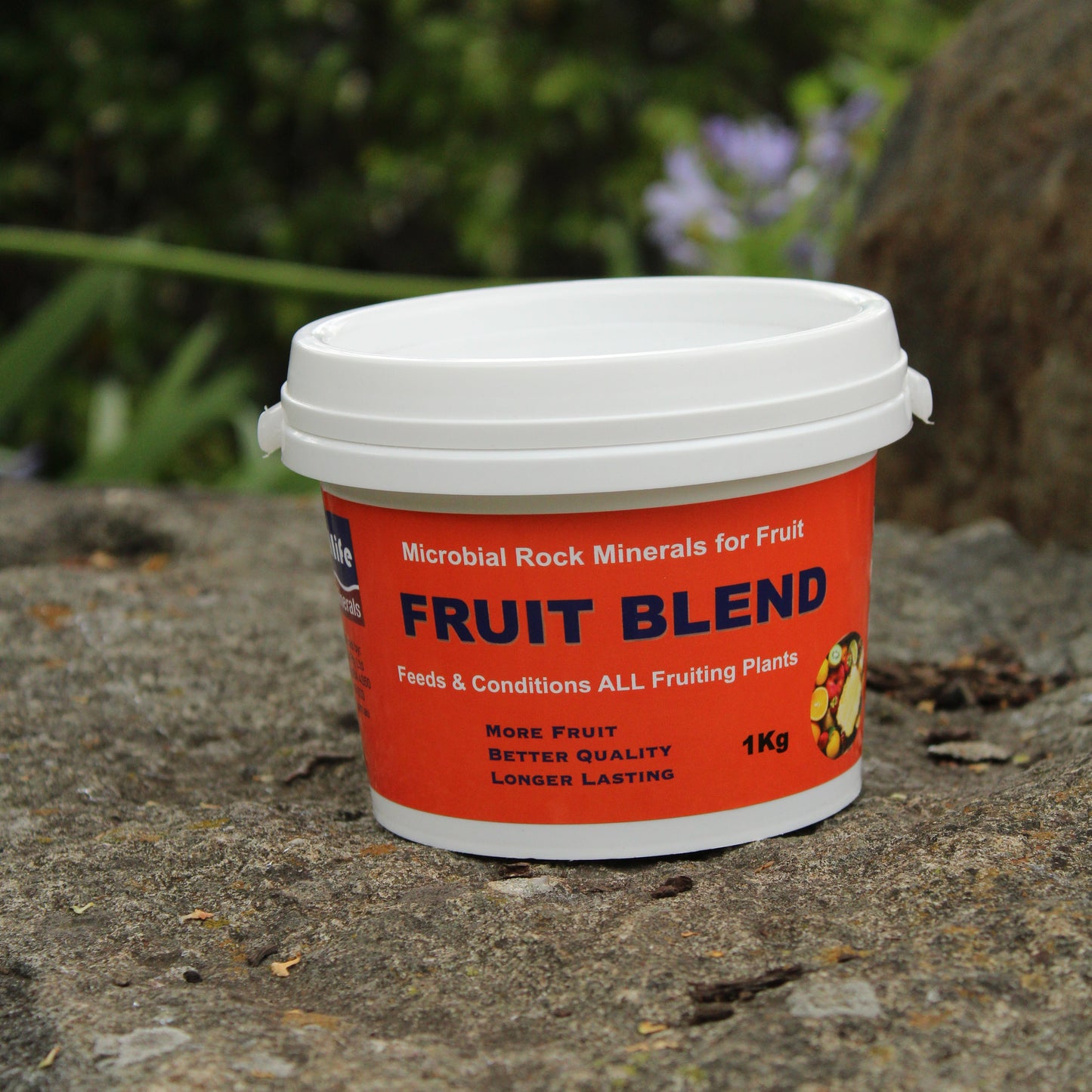 Earthlife - FRUIT BLEND 1kg