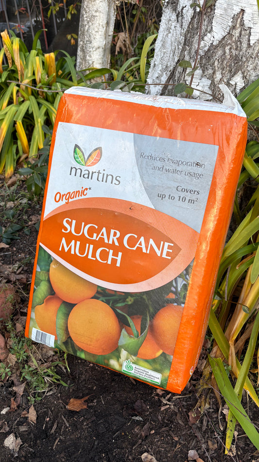 Sugar Cane Mulch (minimum 2 bags) $20 each