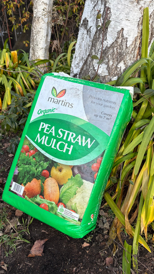 Pea Straw Mulch (minimum 2 bags) $18 each