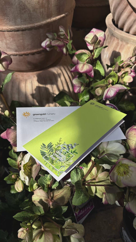 Greengold Nursery Gift Voucher