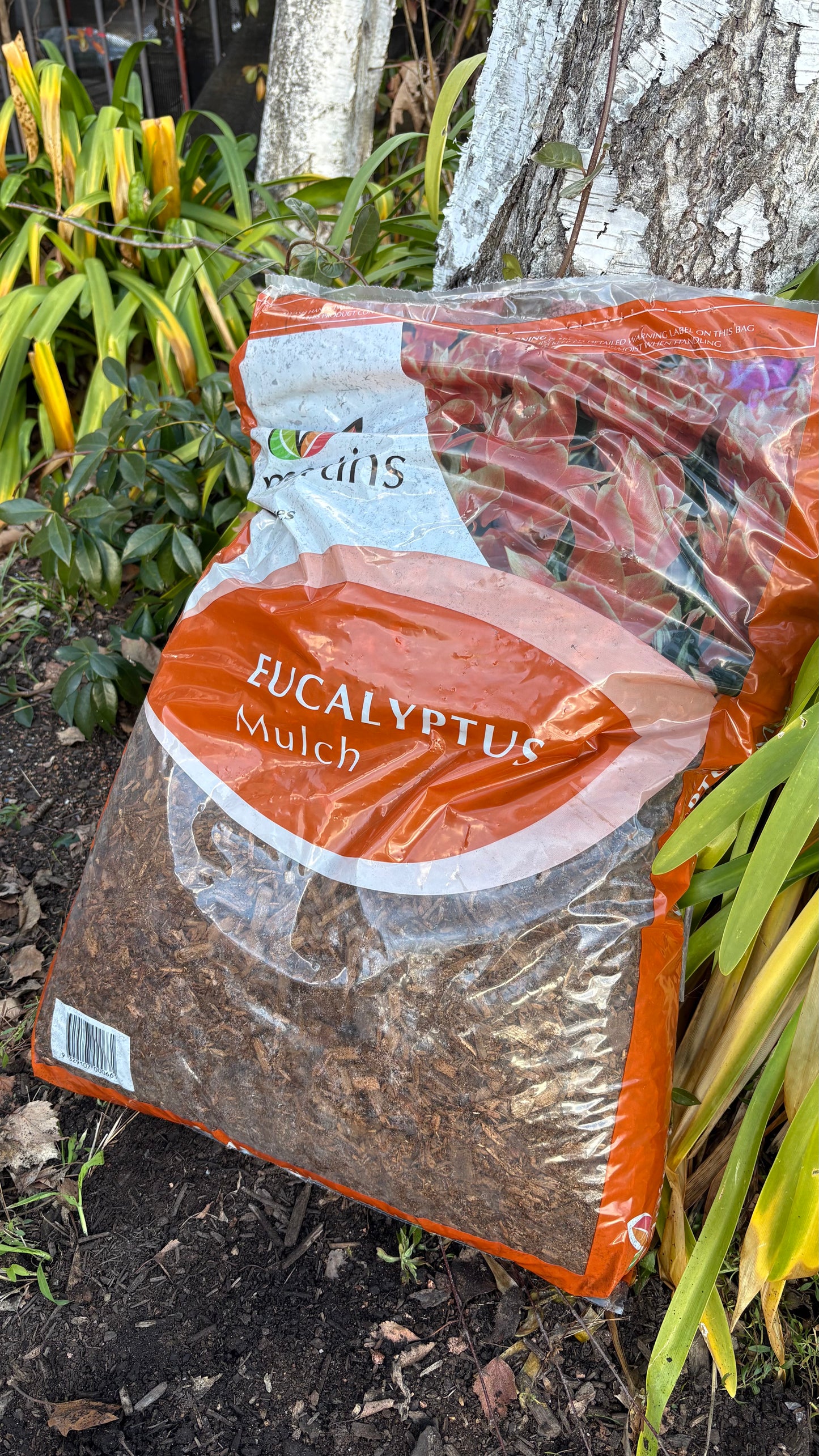 Eucalyptus Mulch 50L (minimum 4 bags) $12 each
